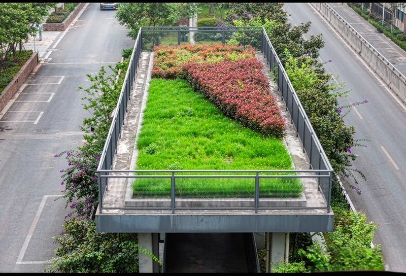 Quiet garden path above the city